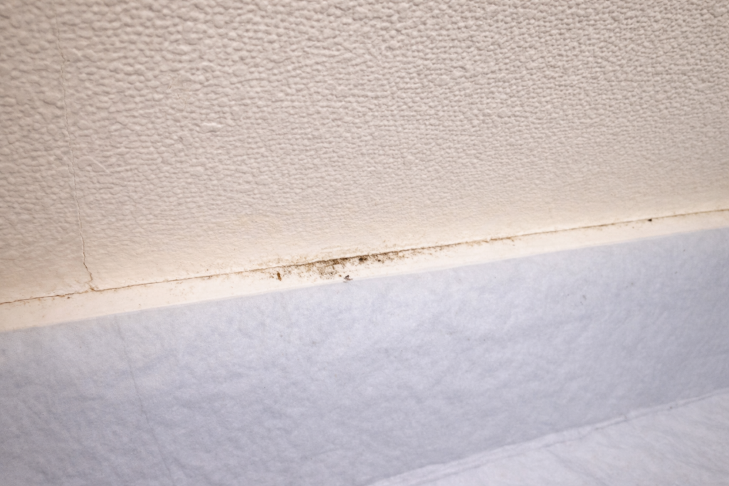 壁と巾木の境目の黒ずみを写したクローズアップ写真